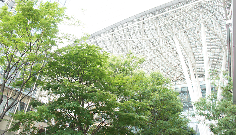 滚球体育老版本下载 幼い頃から手放しで母に甘えることができず、家では常に緊張していたように思います