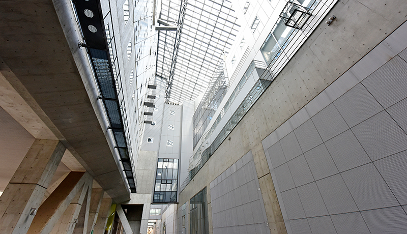 bob娱乐软件 一度見たら忘れられない容姿ですから、目立即 pat ログインちます